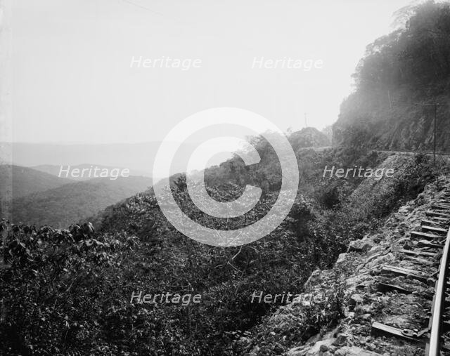 Near mouth of Temasopa [sic] Canon, between 1880 and 1897. Creator: William H. Jackson.