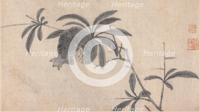 Fruit, unknown date, c1450-1509. Creator: Shen Zhou.