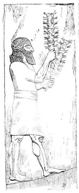 The British Museum - Nineveh Sculptures: Locust-bearer, 1857. Creator: Unknown.