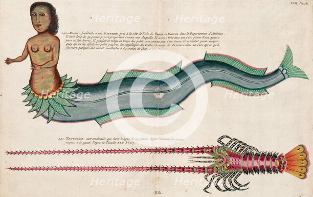 Mermaid. Illustration in "Poissons Ecrevisses et Crabes..." by Louis Renard, 1719. Creator: Fallours; Samuel (active 1700-1720).