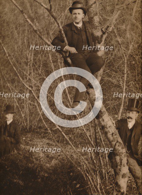 'Man sat in a tree', 1937. Artist: Louis Guichard.