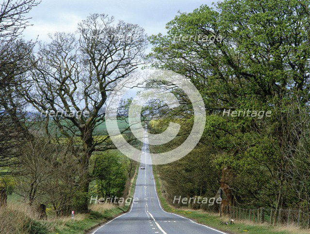 Roman military road west of Housesteads Fort, Hadrian's Wall, Northumberland, 2010. Artist: Graeme Peacock.