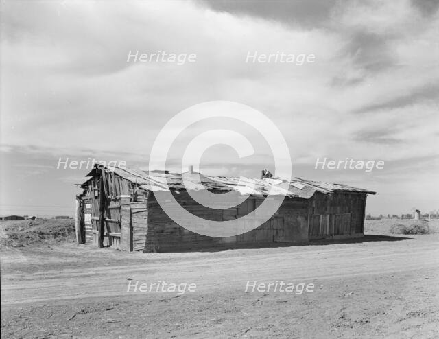 Housing typical of that afforded Mexican field workers of the Imperial Valley, 1937. Creator: Dorothea Lange.