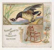 Brent Goose, from the Game Birds series (N40) for Allen & Ginter Cigarettes, 1888-90. Creator: Allen & Ginter.