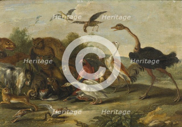 Battle between Owls and Quadrupeds. Creator: Jan van Kessel.