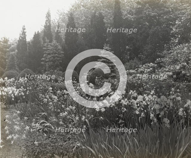 "Killenworth," George Dupont Pratt house, Glen Cove, New York, c1918. Creator: Frances Benjamin Johnston.