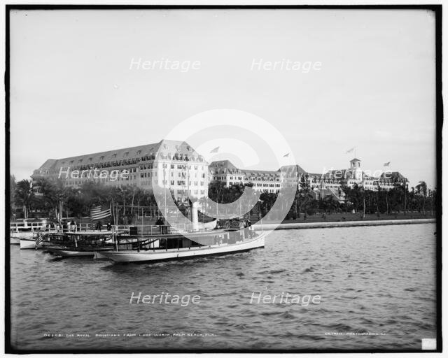The Royal Poinciana from Lake Worth, Palm Beach, Fla., between 1900 and 1905. Creator: Unknown.
