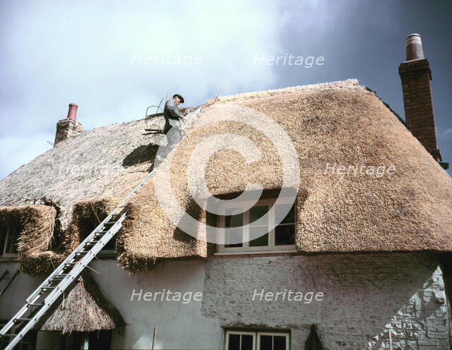 Thatching at Little Waddon, Dorset, c1955-1970. Creator: Arthur Charles Kirby Ware.