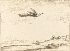 Bird of Paradise. Creator: Jacques Callot.