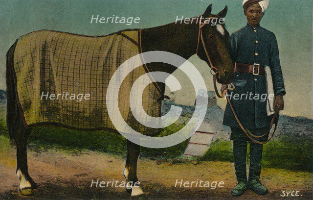 'Syce', c1910. Artist: Unknown.