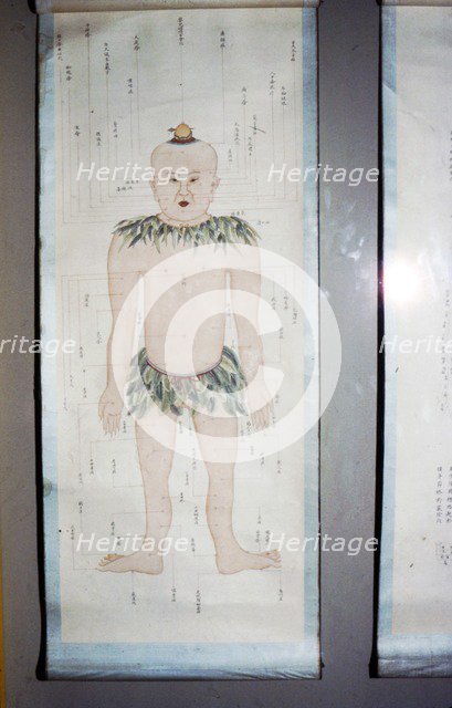 Chinese Acupuncture Chart, Front View. Artist: Unknown.