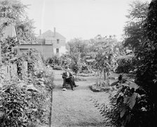 Garden at 124 E. Euclid Avenue, Detroit, Mich., between 1905 and 1915. Creator: Unknown.