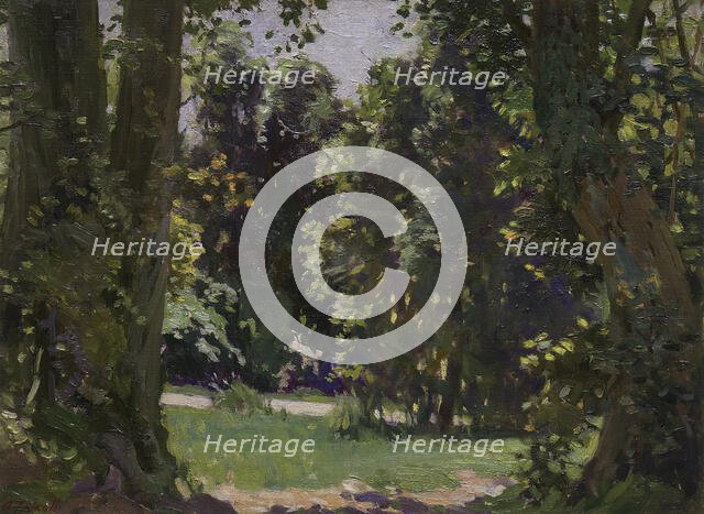 Peel Forest, c1920s. Creator: Archibald Frank Nicoll.