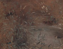 Rushes by a pool, ca. 1821. Creator: John Constable.