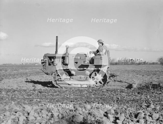 Cultivating potato-fields, west side of San Joaquin Valley, California , 1939. Creator: Dorothea Lange.