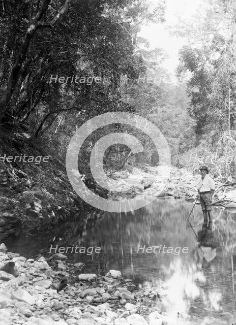 Possibly Coomera River - Upper Commera (Frederick John Walker), c1880s. Creator: Robert Augustus Henry L'Estrange.