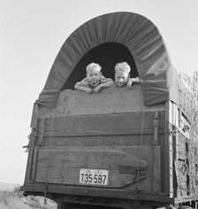 Just arrived from Kansas, near Merrill, Klamath County, Oregon, 1939. Creator: Dorothea Lange.