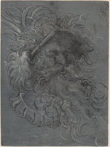Head of a Bearded Man, 1572. Creator: Jost Ammon.