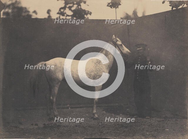 Pascaline, ca. 1855-60. Creator: Adrien Alban Tournachon.