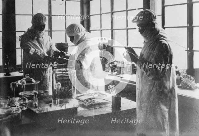 Japan - Injecting pest bacillus into rats, between c1915 and c1920. Creator: Bain News Service.