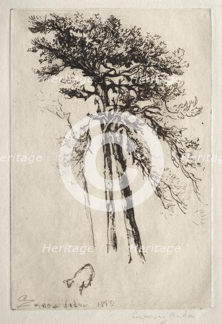 The Latest Tree, 1882. Creator: Francis Seymour Haden (British, 1818-1910).