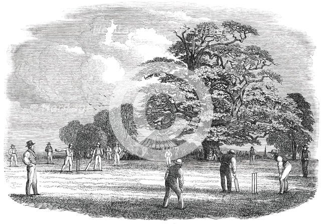 Cricket - drawn by Duncan, 1850. Creator: Duncan.