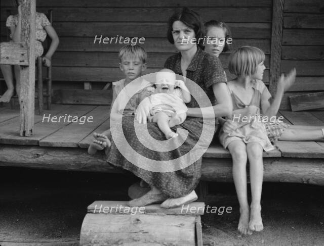 Cotton sharecropper family, Macon County, Georgia, 1937. Creator: Dorothea Lange.