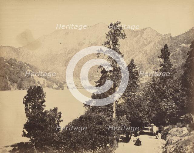 Nynee Tall from South End, c. 1858-1862. Creator: John Murray.