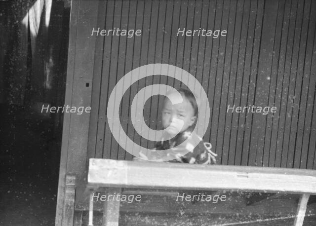 Travel views of Japan and Korea, 1908. Creator: Arnold Genthe.