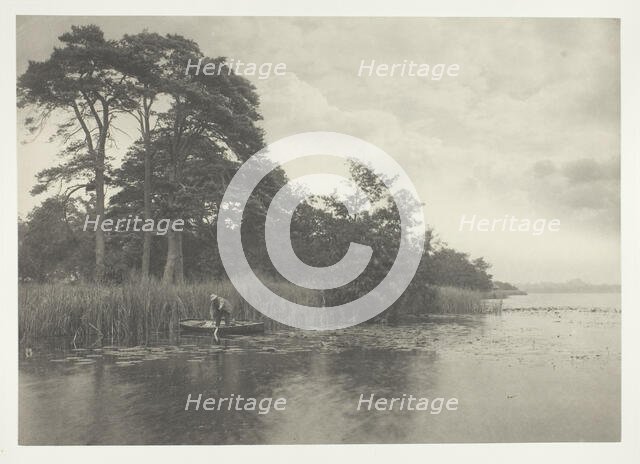 The Haunt of the Pike, 1886. Creator: Peter Henry Emerson.