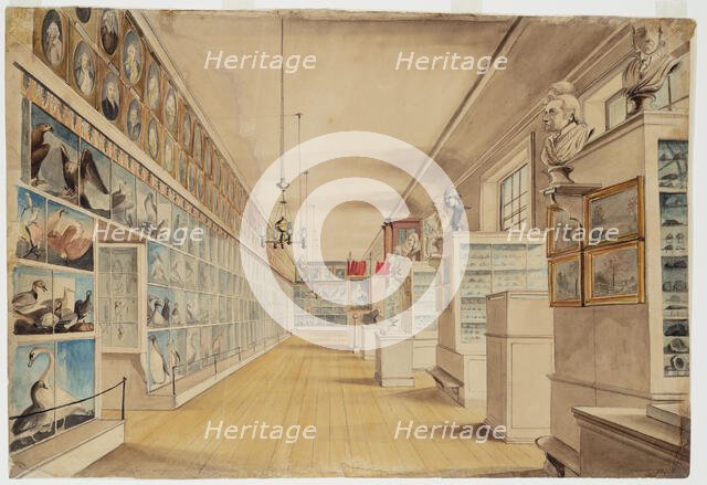 The Long Room, Interior of Front Room in Peale's Museum, 1822. Creators: Charles Willson Peale, Titian Ramsay Peale.