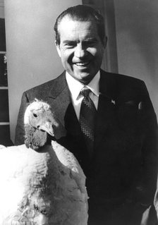 President Richard Nixon with a turkey, preparing for Thanksgiving, 1969-1974. Artist: Unknown