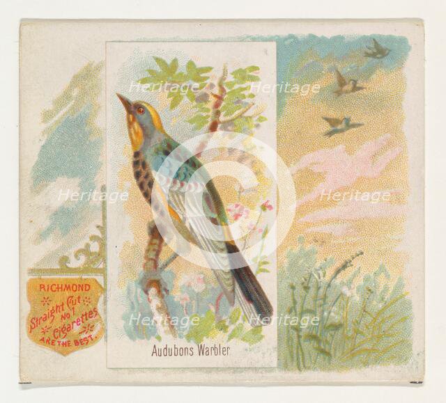 Audobons Warbler, from the Song Birds of the World series (N42) for Allen & Ginter Cigaret..., 1890. Creator: Allen & Ginter.