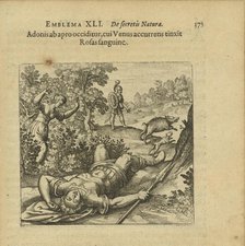 Emblem 41. Adonis is slain by a boar, and as Venus comes running she colours the Roses..., 1816. Creator: Merian, Matthäus, the Elder (1593-1650).