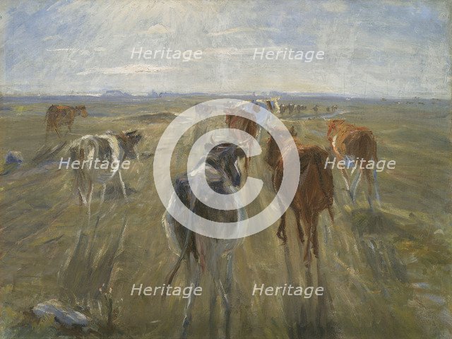 Long Shadows. Cattle on the Island of Saltholm, c. 1890. Artist: Philipsen, Theodor (1840-1920)