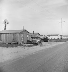 Rented cabins, ten dollars a month...Arkansawyers auto camp, Greenfield, Salinas Valley, CA, 1939. Creator: Dorothea Lange.