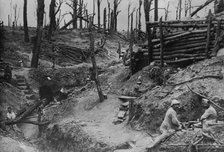 The wood called Des Fermes in the Somme, between c1915 and c1920. Creator: Bain News Service.