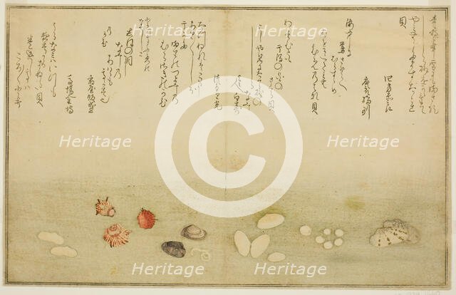 Sudare-gai, hana-gai, sakura-gai, mumeno-gai, nadeshiko-gai, and kinuta-gai, from the illu..., 1789. Creator: Kitagawa Utamaro.
