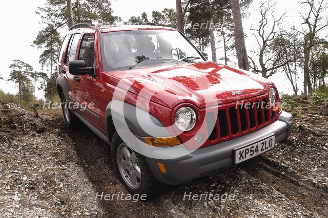 2004 Jeep Cherokee Artist: Unknown.