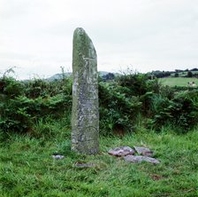 Kilnasaggart Cross Pillar, Armagh, Ireland, c714. Artist: Unknown