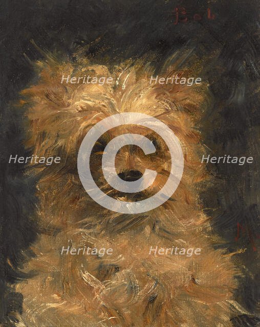 Head of the dog "Bob", c1876. Creator: Manet, Édouard (1832-1883).