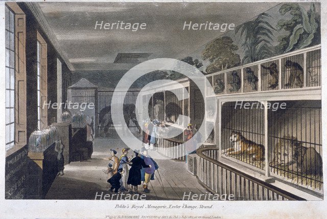 Exeter Change, Westminster                                       Artist: Anon