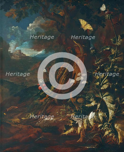 Landscape with reptiles and insects (I), c1730/1740. Creator: Johann Adalbert Angermayer.
