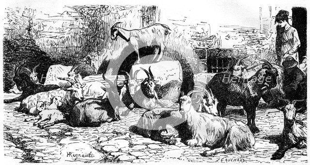 Goats of the Roman countryside, Italy, 19th century. Artist: J Cauchard