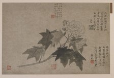 Hibiscus, 1347. Creator: Wang Yuan.