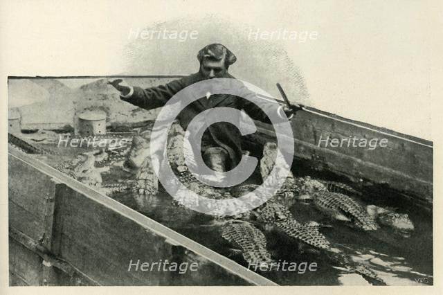 'M. Pernelet and his Pets', 1902. Creator: Unknown.