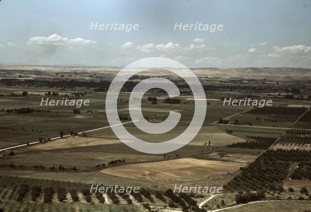 Cherry orchards and farming land, Emmett, Idaho, 1941. Creator: Russell Lee.