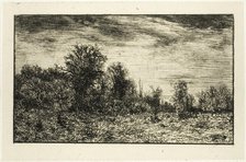 Edge of a Wood, under Cloudy Sky, 1846. Creator: Charles Emile Jacque.