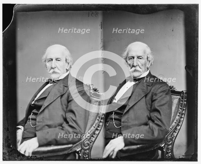 Lambert Tree, 1865-1880. Creator: Unknown.