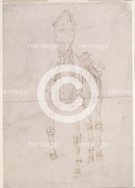 Measured working drawing for 'The Second Anatomical Table of the Skeleton of the Horse', 1756. Creator: George Stubbs.
